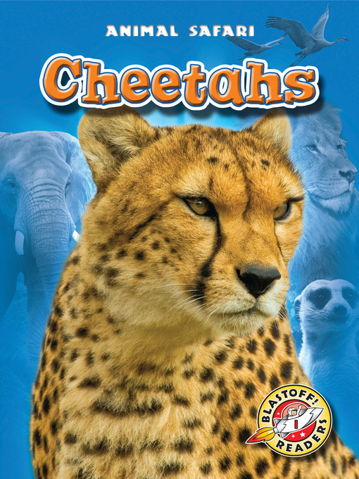 Title details for Cheetahs by Dana Fleming - Available